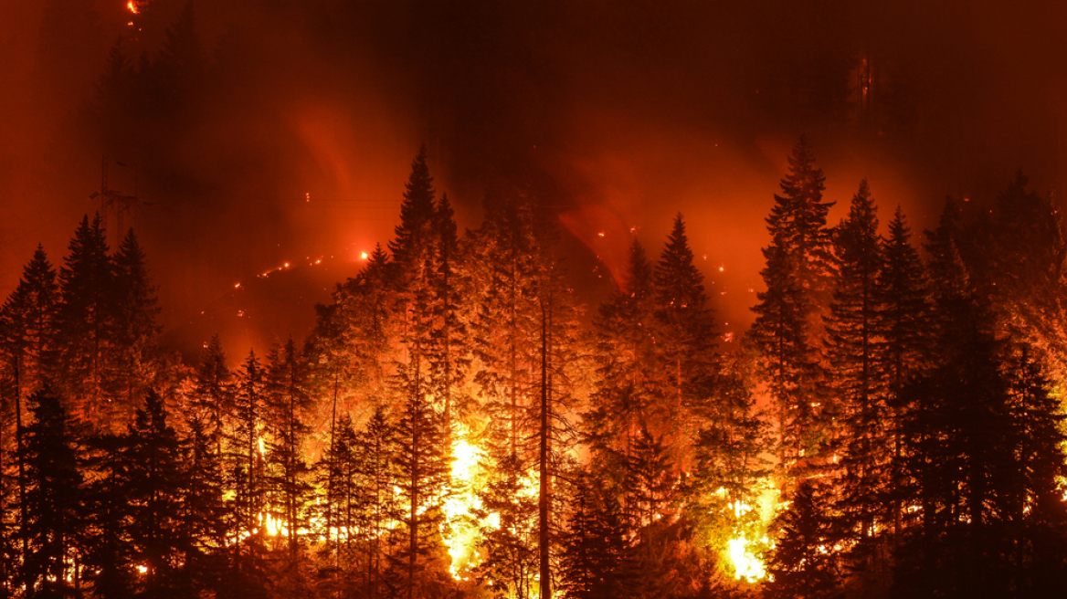 ΗΠΑ: Ένα τρίτο των δασικών πυρκαγιών στη Βόρεια Αμερική προκαλείται από τα ορυκτά καύσιμα, δείχνει μελέτη