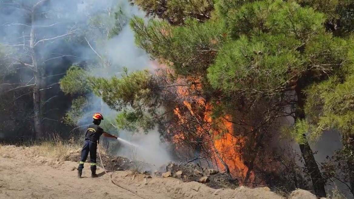 Φωτιά σε δασική έκταση στην Ψάθα – Σηκώθηκαν αεροσκάφη για την κατάσβεση