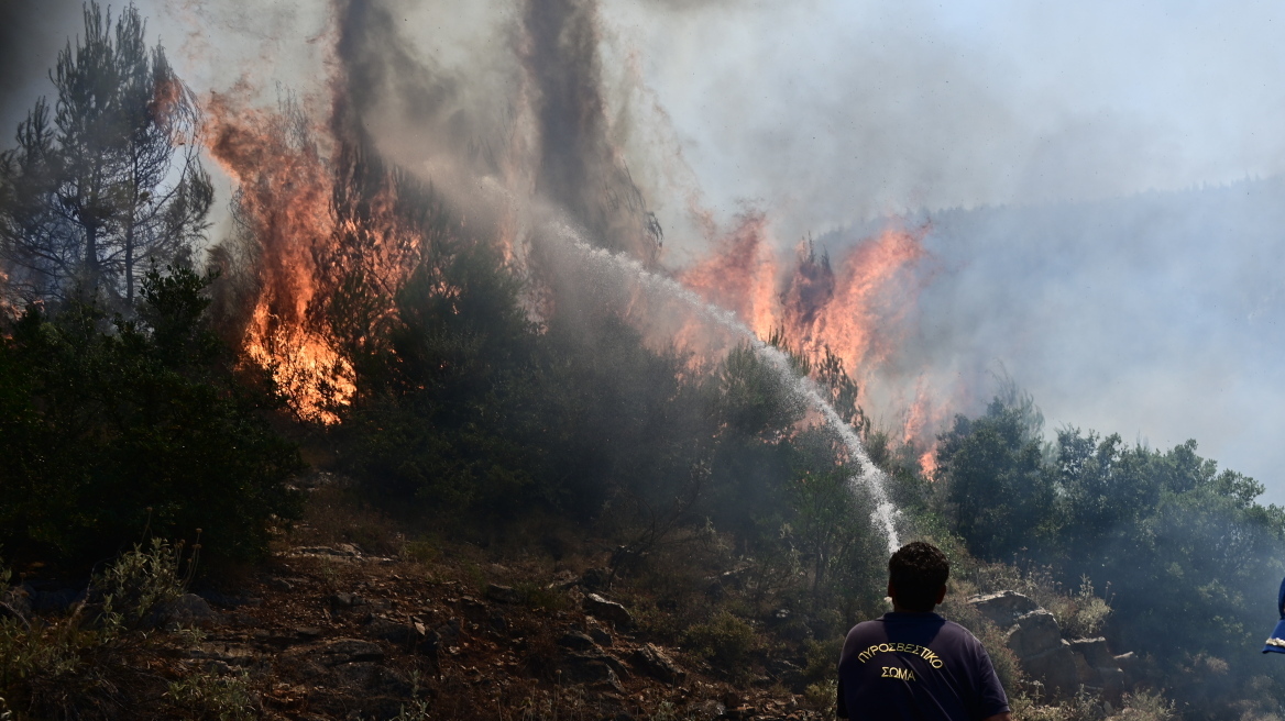 Φωτιές: Αναζωπύρωση στο Πυρί Λακωνίας