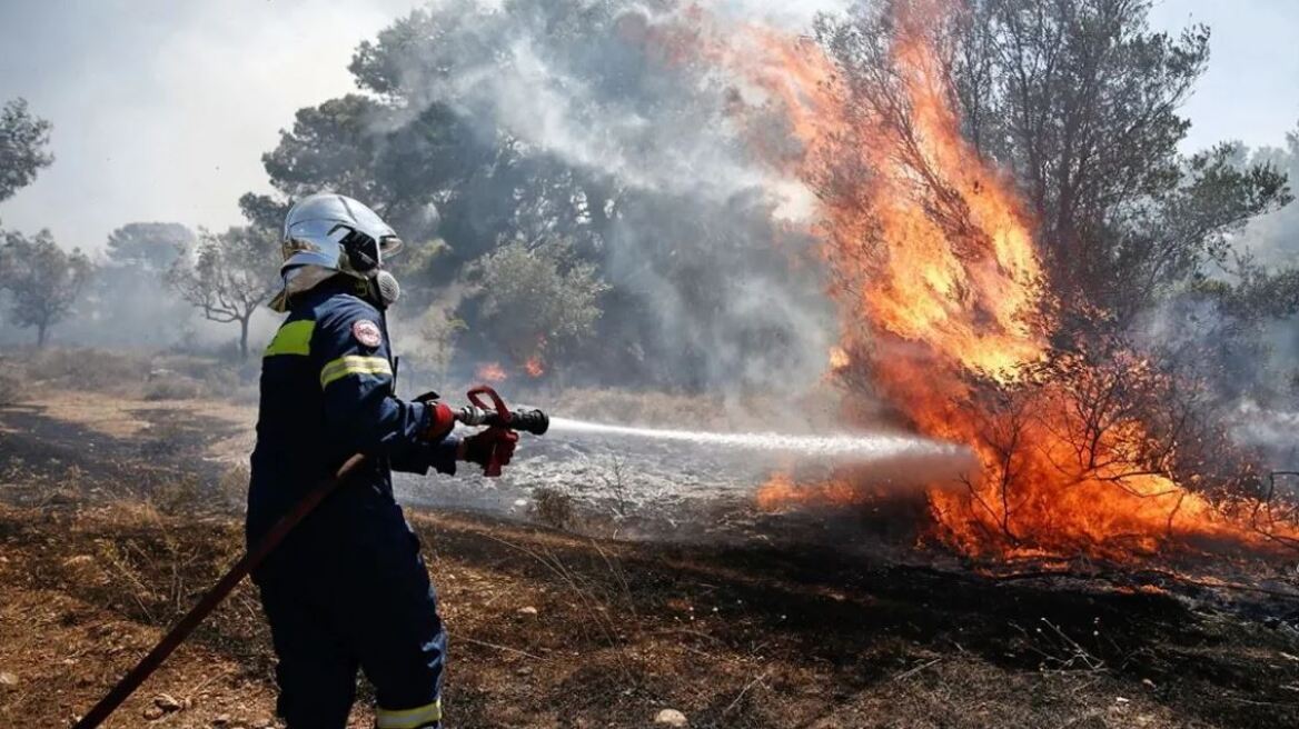 Θεσσαλονίκη: Φωτιά στον Λαγκαδά
