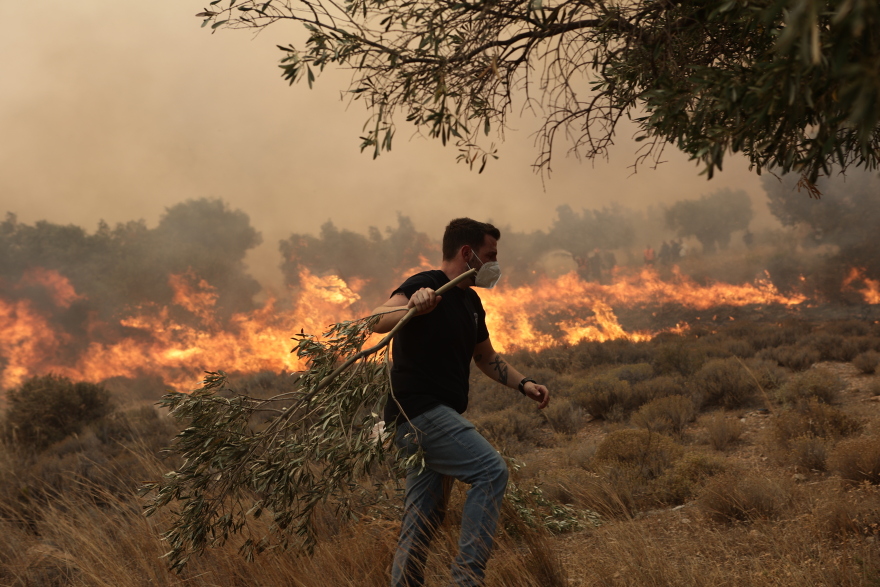 Φωτιά σε δυτική Αττική, Ρόδο και Σπάρτη: Τέταρτη μέρα μάχη με τις φλόγες – Οι αναζωπυρώσεις και τα ενεργά μέτωπα