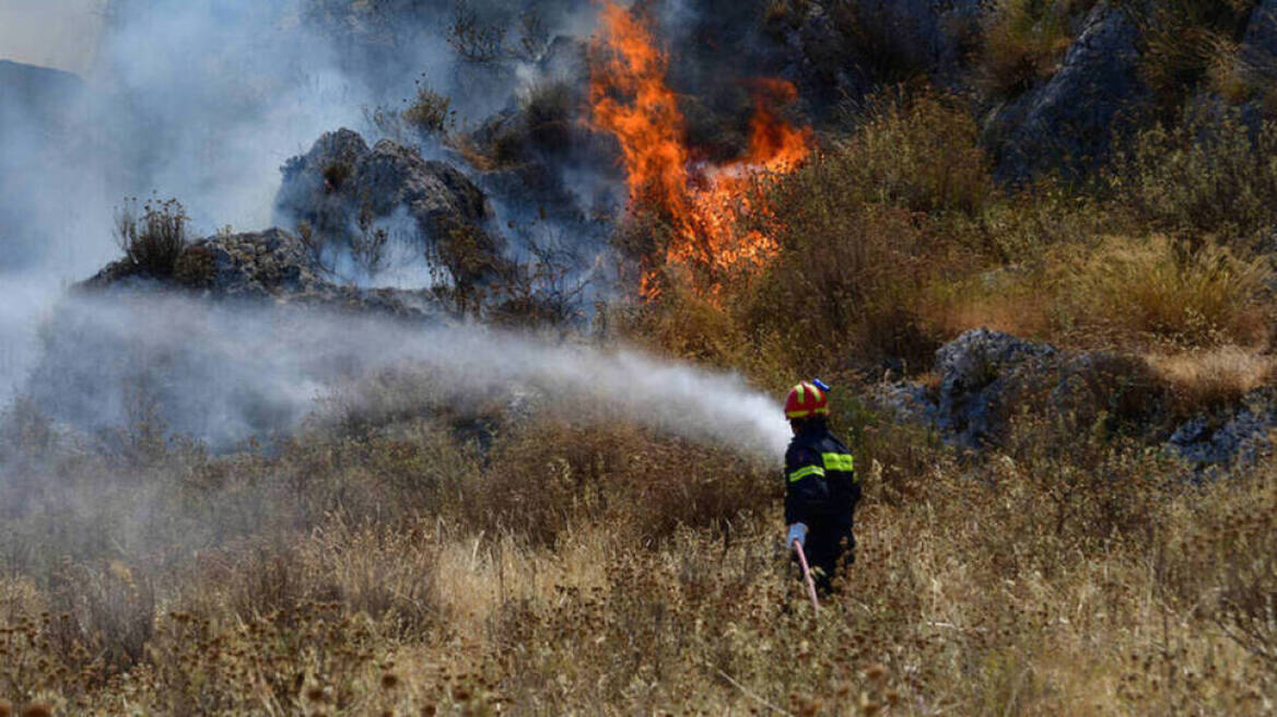 Φωτιά σε δύσβατο σημείο στα Φάρσαλα – Μεγάλη κινητοποίηση της πυροσβεστικής