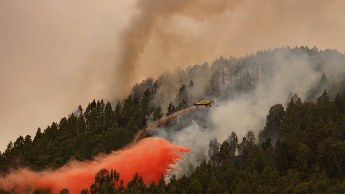 Εμπρησμός η μεγάλη πυρκαγιά στην Τενερίφη, λένε οι αρχές – Έχουν καεί πάνω από 100.000 στρέμματα