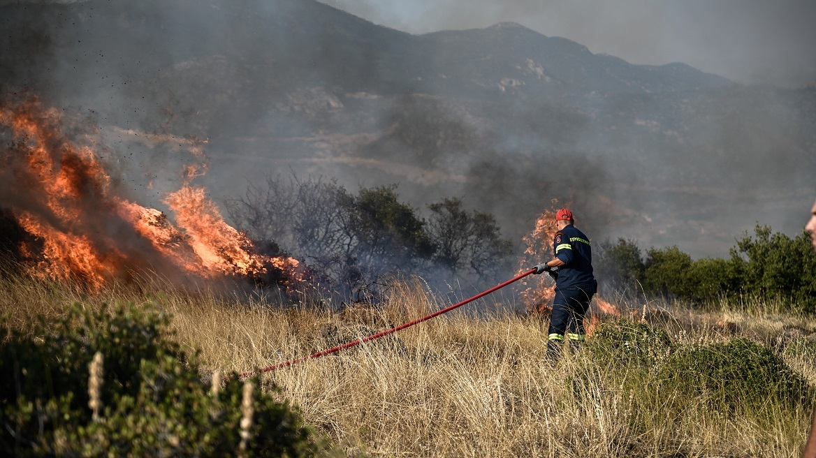 Θεσσαλονίκη: Διοικητικά πρόστιμα για πυρκαγιά σε ξερά χόρτα και θερμές εργασίες από την Πυροσβεστική