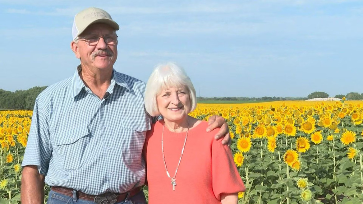 Δώρο επετείου ένα χωράφι με 1,2 εκατομμύρια ηλιοτρόπια έκανε στη σύζυγο άνδρας από το Κάνσας
