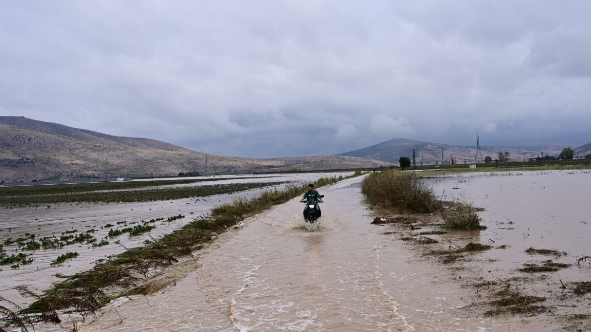 Κακοκαιρία Daniel – Σιούτας (μετεωρολόγος): Σε επίπεδα ρεκόρ η βροχή – Έπεσαν 750 τόνοι νερού ανά στρέμμα