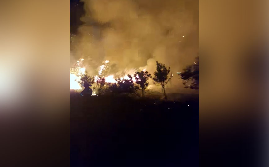 Φωτιά στον Μαραθώνα: Ενισχύθηκαν οι δυνάμεις της Πυροσβεστικής