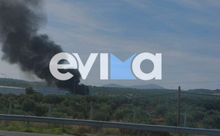 Φωτιά τώρα σε εργοστάσιο στην Εύβοια